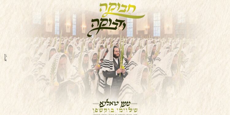 מלבן - חבוקה ודבוקה(1)
