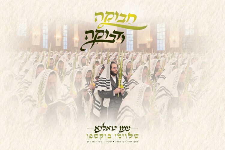 מלבן - חבוקה ודבוקה(1)